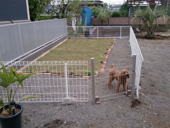 ペットと一緒に住める高齢者住宅